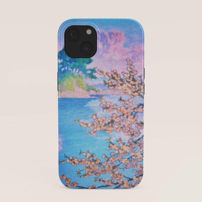 A Closer Look at Kukuyediyo (Series IV of IV) - Nature Landscape iPhone Case