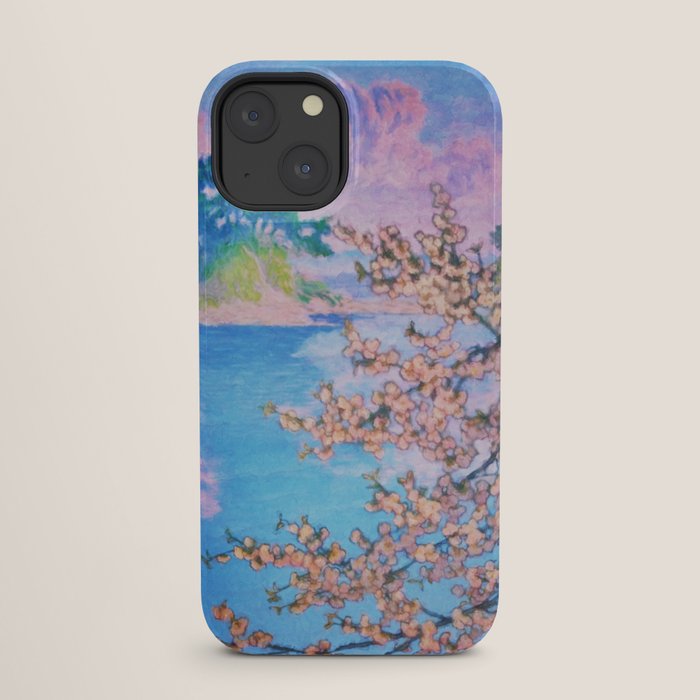 A Closer Look at Kukuyediyo (Series IV of IV) - Nature Landscape iPhone Case