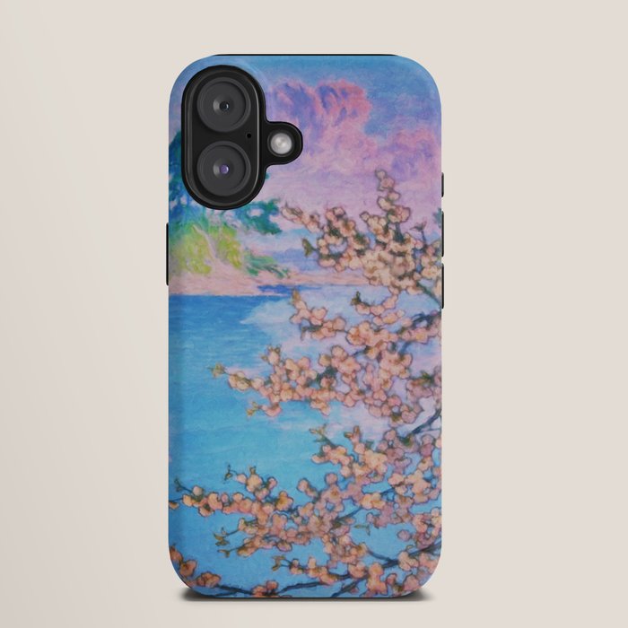 A Closer Look at Kukuyediyo (Series IV of IV) - Nature Landscape iPhone Case