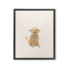 A dog called Jazz Framed Canvas Print