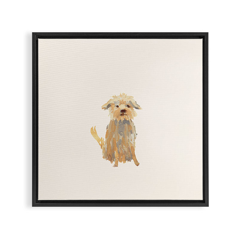 A dog called Jazz Framed Canvas Print