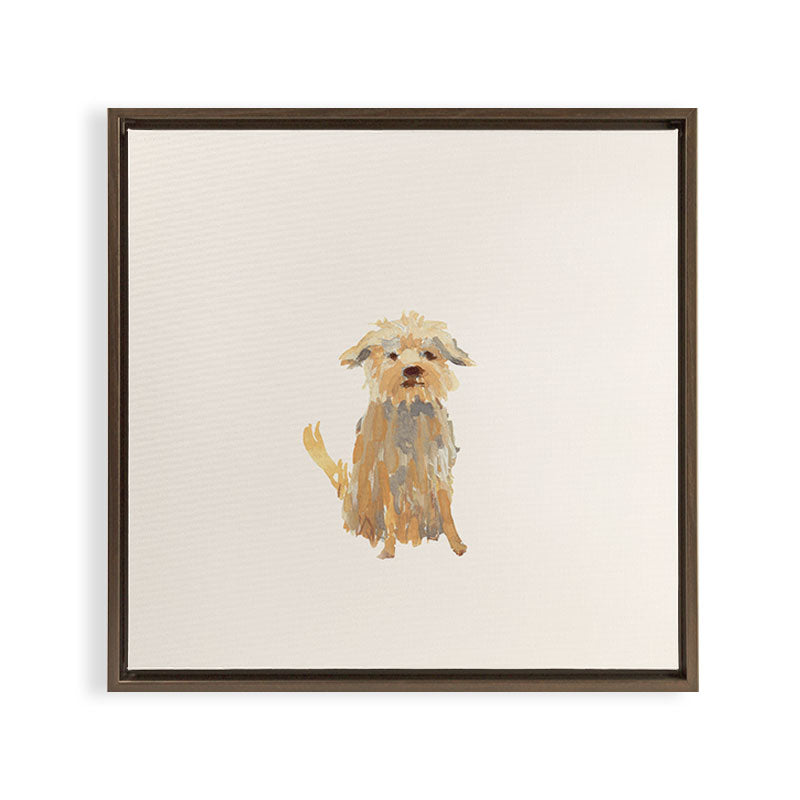 A dog called Jazz Framed Canvas Print
